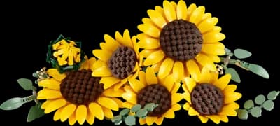 Le bouquet de tournesols