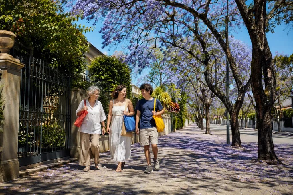 Família brasileira de três gerações caminhando e rindo numa calçada com jacarandás floridos em novembro